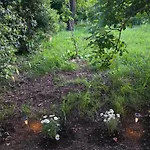 Deeranaei Kraljevica