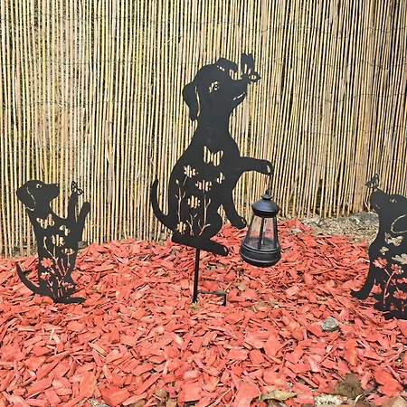 Deeranaei * Kraljevica