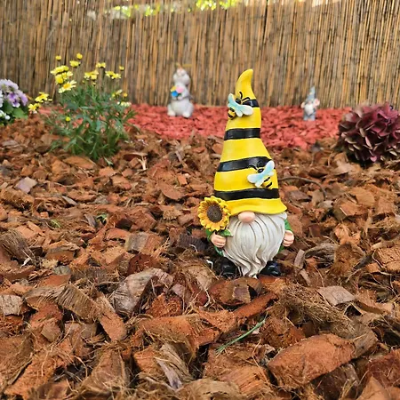 Deeranaei * Kraljevica