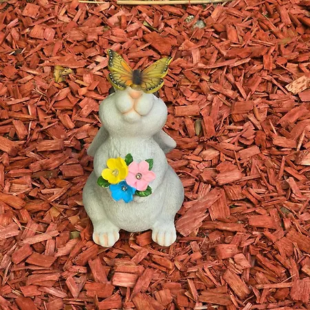 Appartement Deeranaei