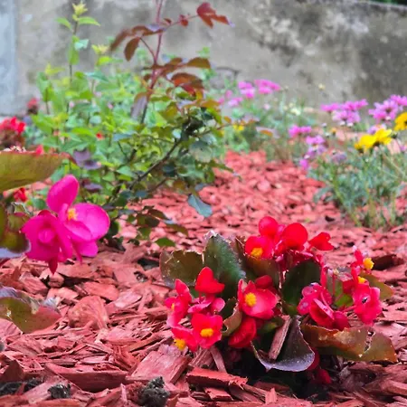 Appartement Deeranaei