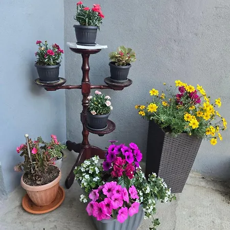 Deeranaei Appartement Kraljevica