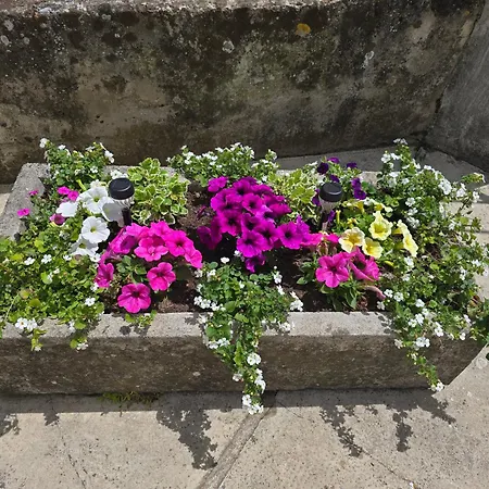 Appartement Deeranaei