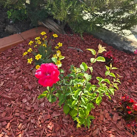 Appartement Deeranaei *