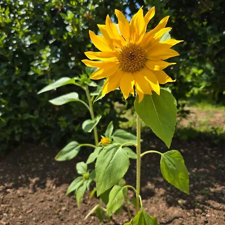 Deeranaei Appartement Kraljevica