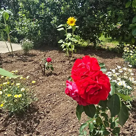 Appartement Deeranaei *