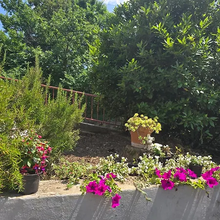Deeranaei Apartmán Kraljevica