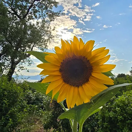 Deeranaei Appartement *