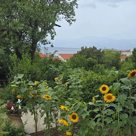 Deeranaei Kraljevica