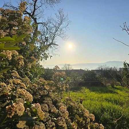 Deeranaei Διαμέρισμα