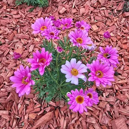 Deeranaei Διαμέρισμα Kraljevica