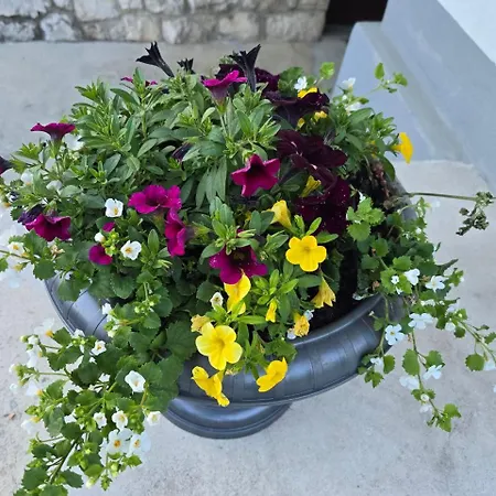 Διαμέρισμα Deeranaei